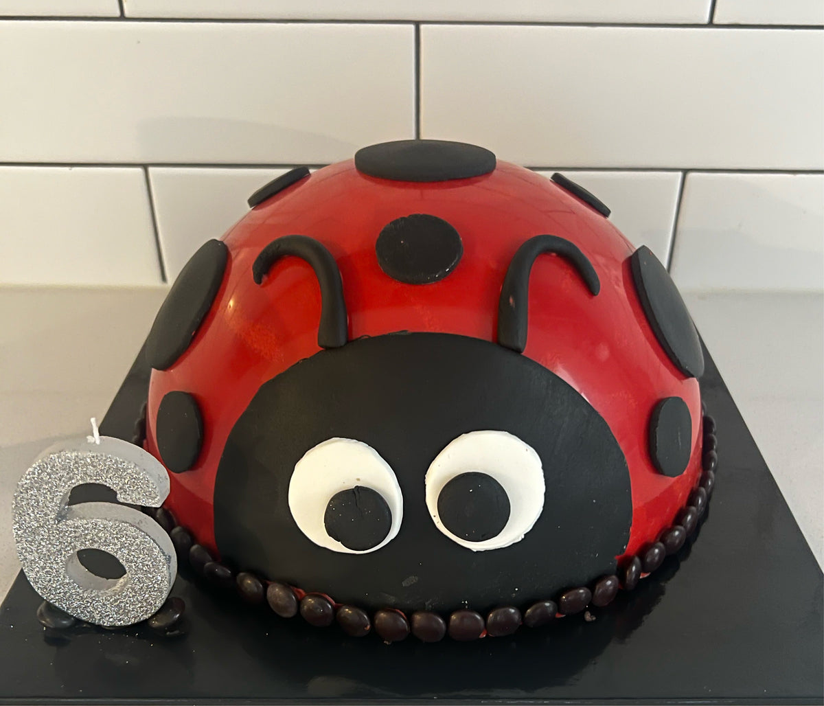 Ladybug dome SmashCake – Smashed Pinata